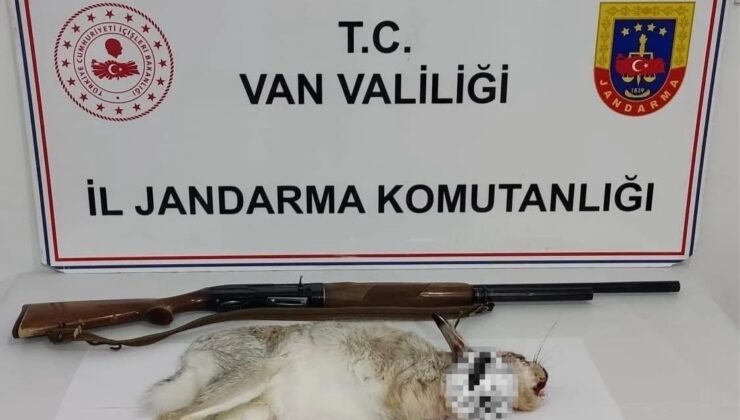 Van’da Kaçak Tavşan Avına 29 Bin TL Ceza