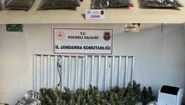 Kocaeli’de İklimlendirmeli Uyuşturucu Seralarına Darbe