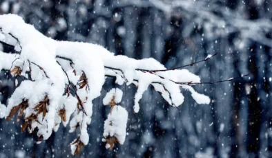 Ordu’da Kar Nedeniyle Eğitime Ara Verildi