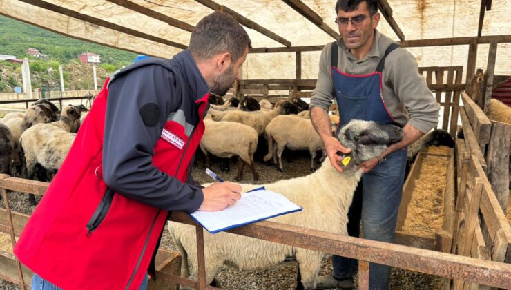 Tarım ve Orman Bakanlığı’ndan Kurban Bayramı Öncesi 81 İlde Sıkı Denetim